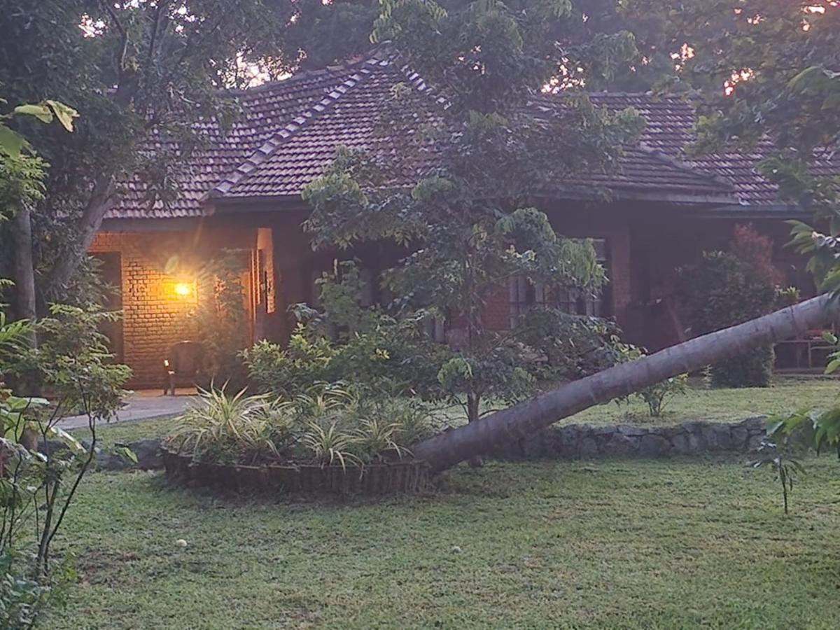 Sigiriya Cottage Exterior photo