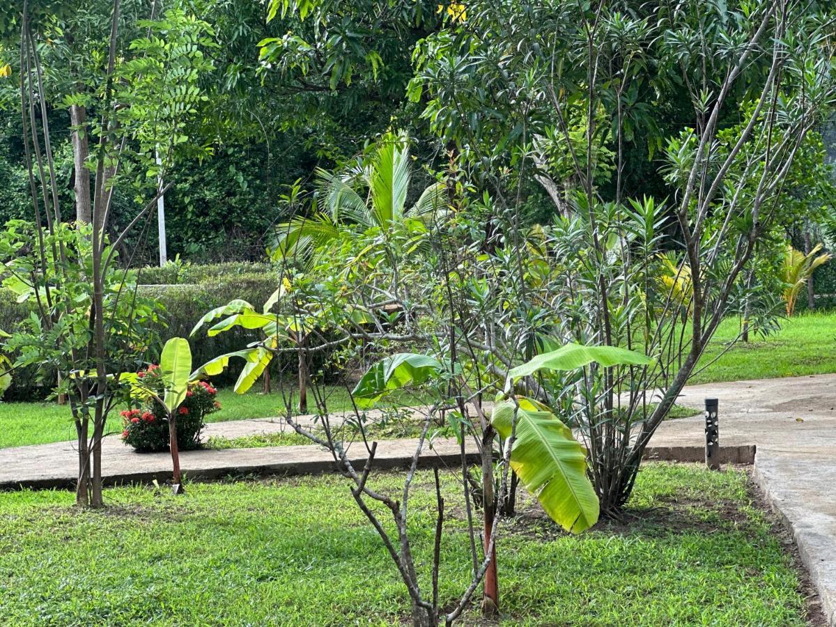 Sigiriya Cottage Exterior photo