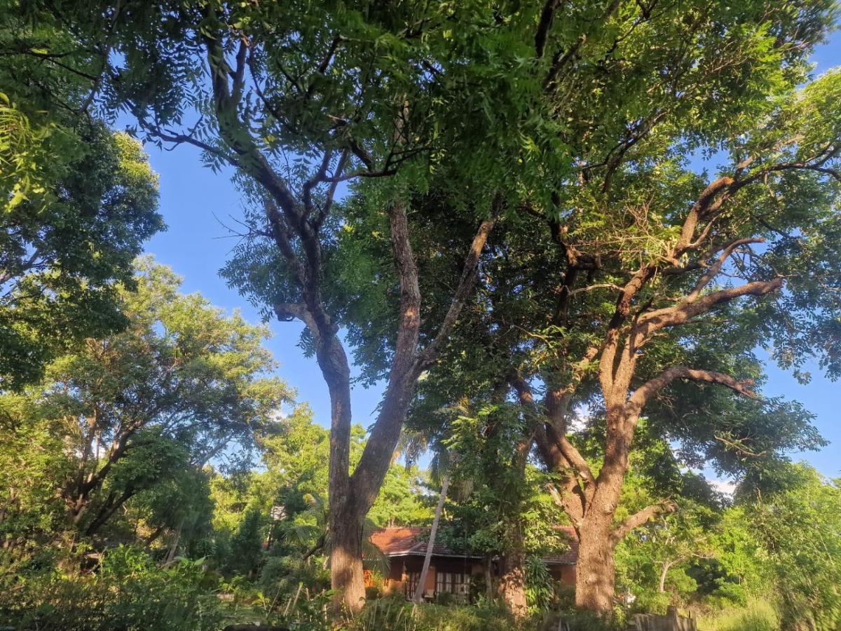 Sigiriya Cottage Exterior photo