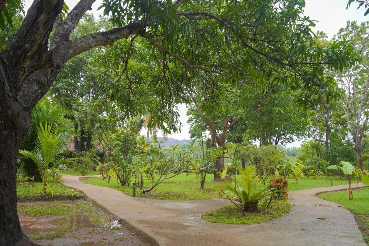 Sigiriya Cottage Exterior photo
